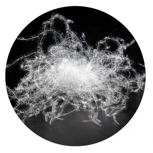 【一周内发货】【95%巨鹅羽绒被】优质白鹅绒 蓬松 轻盈保暖 吸湿透气 两种尺寸任选 商品图3