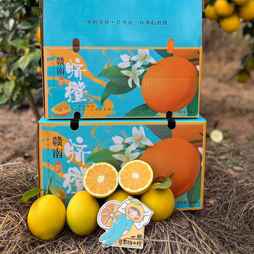 【赣南脐橙】脐橙之乡直供 无催熟不打蜡 绿色生态种植 5斤 商品图6