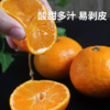 【涌泉蜜橘】 甘润清香 皮薄多汁 新鲜现摘不齁甜 秋冬解腻神器 4.5-5斤（16-24个） 商品缩略图1
