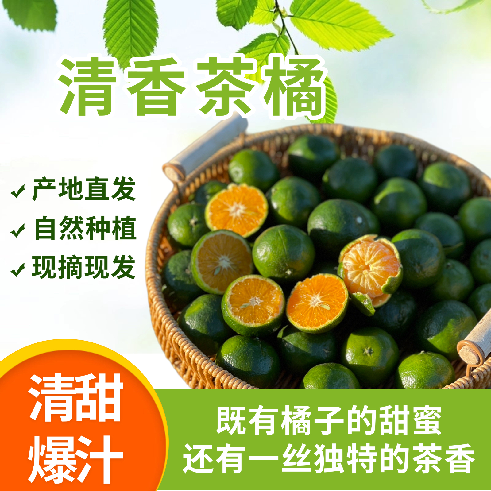 清香茶橘 能吃出清新茶香的橘子 柑橘界的新宠 鲜嫩香甜爆汁 好吃还不上火 