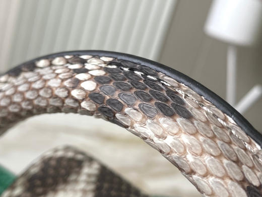 秋冬特惠💰1700 渠道级LV te级LV 全套包装 N99387/M48865绿 本款 Capucines BB号 手袋 商品图6