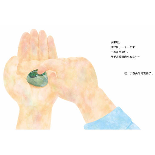 《小科学之友经典图画书·小小观察家》（共7册） 商品图10