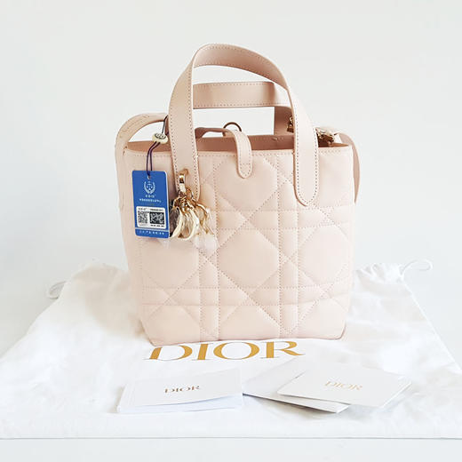 【闲置未使用】Dior迪奥Toujours小号粉色竖版土著Toujours手提单肩包女士211125AK18 商品图1