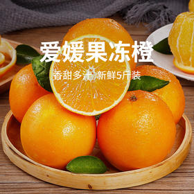 【爱媛果冻橙】果肉橙黄透亮 无渣多汁 天然健康水果 整箱5斤（8-12枚）