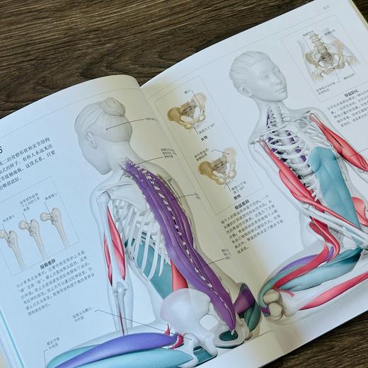 DK瑜伽解剖学：用3D透视图彻底讲清如何做有效的瑜伽练习 商品图4