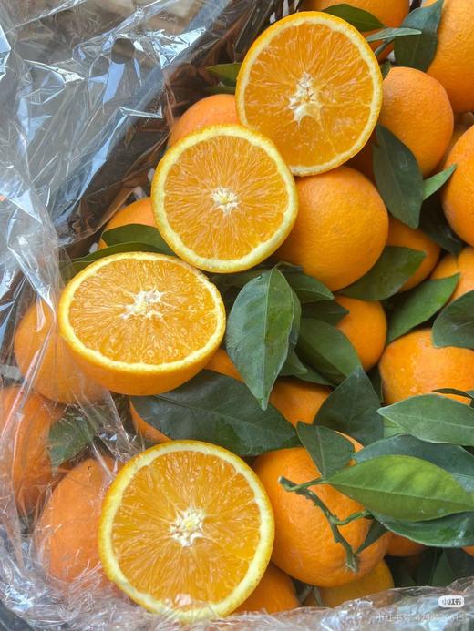 维C蜜橙赣南橙子5斤礼盒 商品图1