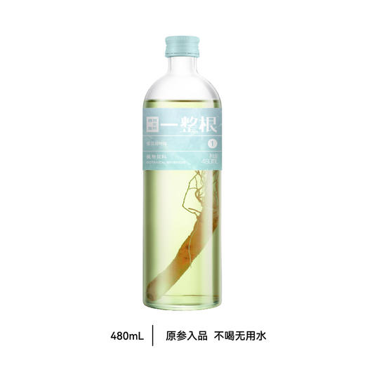 【餐后解腻】【一整根1号水蜜瓜荷叶味】整根人参+蜜瓜荷叶｜高活性皂苷0糖0脂｜体重管理｜提神轻体两不误 商品图0