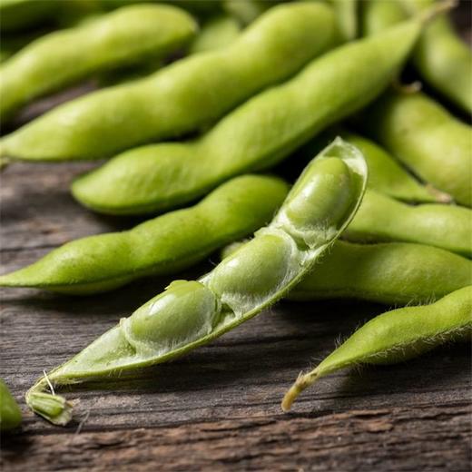 毛豆 500g 商品图3