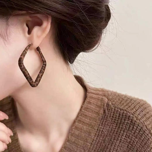 秋风植绒复古几何方形豹纹耳环-纪念日百货门店同款167750330 商品图1