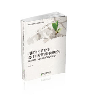 共同富裕背景下农村相对贫困问题研究:政策效果、内生动力与代际流动