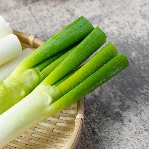 大葱 1根 商品图2