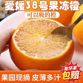 爱媛果冻橙 180g+/个 大果75-80 果实饱满皮薄果大坏果包赔