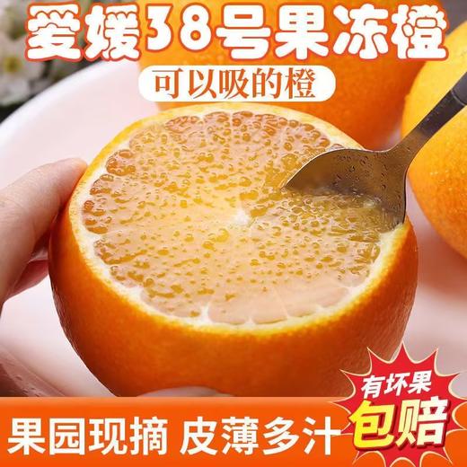 爱媛果冻橙 180g+/个 大果75-80 果实饱满皮薄果大坏果包赔 商品图0