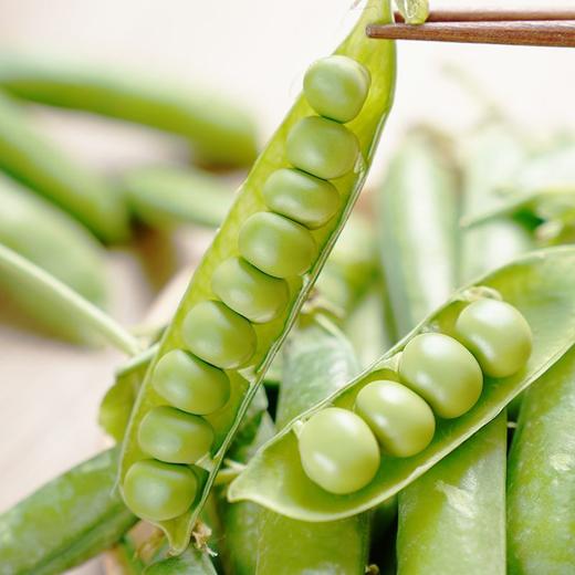 豌豆 300g 商品图4
