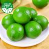 【青柠盟严选】塔西提青柠檬 单果克重60-110克 商品缩略图4