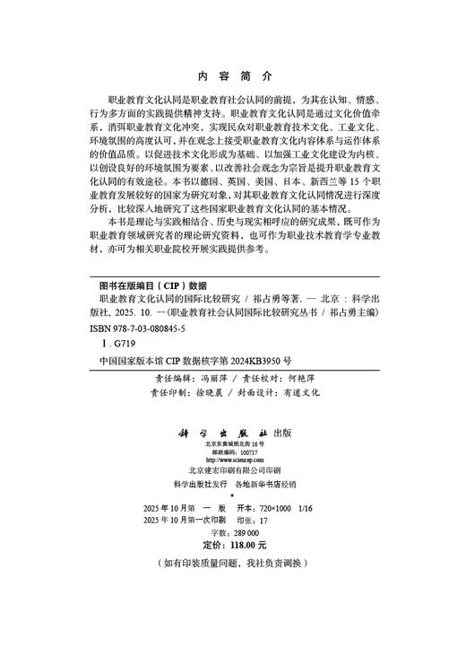 职业教育文化认同的国际比较研究 商品图2