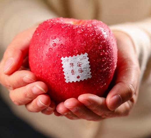 秋冈高原玫瑰 玫瑰花香 脆甜多汁   新疆瑞雪苹果 商品图1