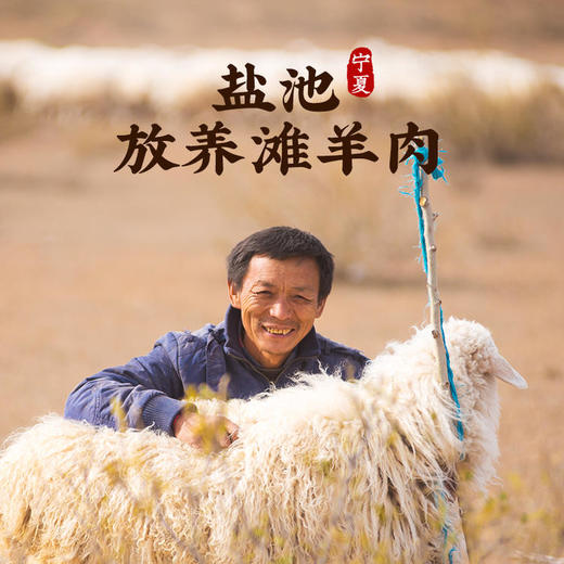 【当地供销社直发 现宰现发】河上田舍 盐池滩羊 口感丰富 肥瘦相间 鲜嫩不膻 不干不柴 爽滑多汁 商品图1