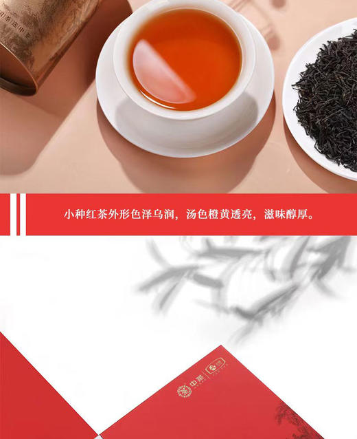中粮中茶山水小种红茶礼盒200g 商品图2