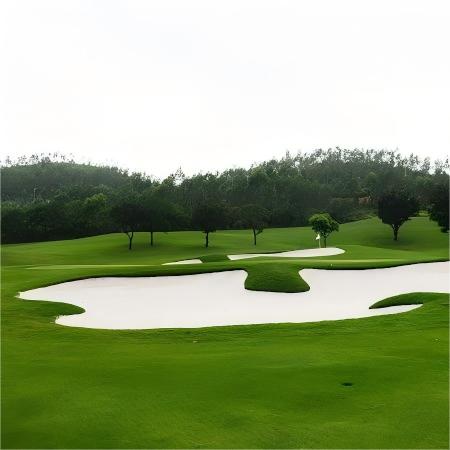 越南·潭岛高尔夫度假村 Tam Dao Golf & Resort | 河内高尔夫球场 | 越南高尔夫球场俱乐部 | 东南亚 商品图2