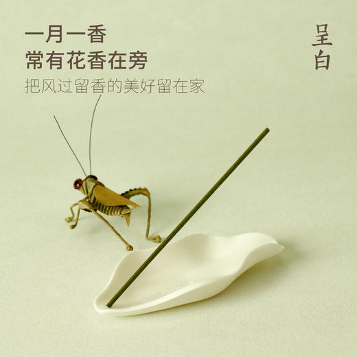 呈白·「花信风」十二花神品鉴永春香线香 以四时为轴,一月一香,一盒集齐了12个月的时节花香 商品图7