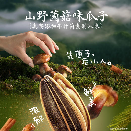 【长期集采】洽洽山野酸汤味/菌菇味/竹香味瓜子88g 商品图2