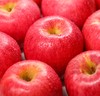 秋冈高原玫瑰 玫瑰花香 脆甜多汁   新疆瑞雪苹果 商品缩略图2