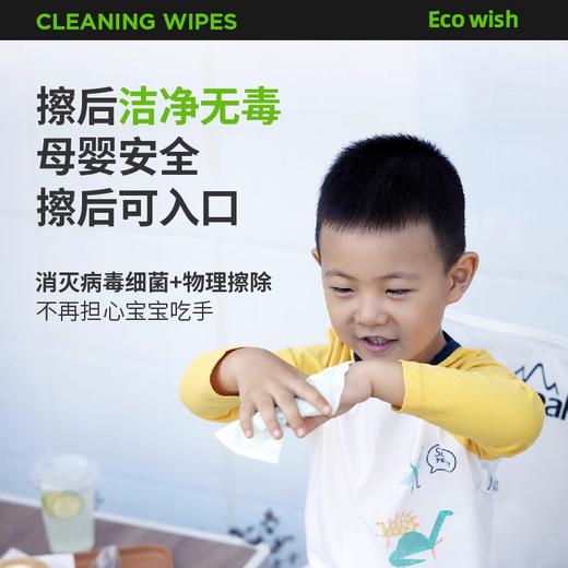 严选 | EcoWish手部清洁湿巾 6包/盒 每包6抽 迷你便携0酒精甲流乙流病毒消杀杀菌 商品图2