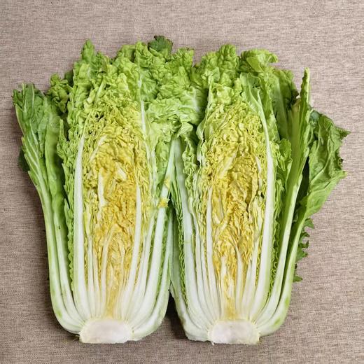 无可替代的大白菜 百菜不如白菜，平淡才是答案 大贺农场生态大白菜 商品图1