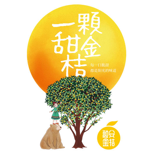 广西 融安滑皮金桔3斤顺丰 商品图4