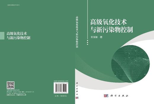 高级氧化技术与新污染物控制 商品图3