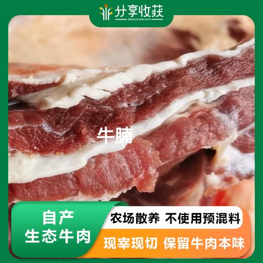 自产生态牛肉 | 各个部位  | 农场散养 不使用预混料  |beef 商品图0