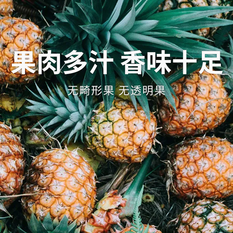 【芒果凤梨】树上自然成熟 芒果风味浓郁 甜度远超普通凤梨 4-5斤中果（700g-900g）