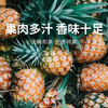 【芒果凤梨】树上自然成熟 芒果风味浓郁 甜度远超普通凤梨 4-5斤中果（700g-900g） 商品缩略图0