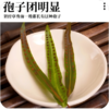 长白山肾精茶黄金草茶嗷嗷叫茶 商品缩略图2