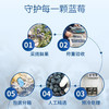 【云南L25蓝莓】无打蜡不催熟 绿色种植 孕妇儿童放心吃 400g 商品缩略图4