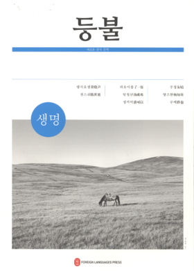 2024年韩文版 《등불》（생명）  《灯光》（生命）