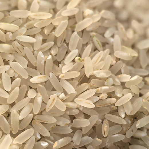 【下单后48小时发货】东北五常 留胚米10斤装 商品图0