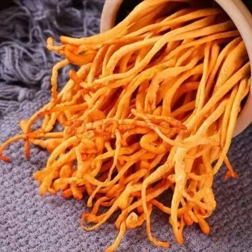 人参虫草花汤料包炖鸽子鸡煮排骨滋补材料广东煲汤料包 商品图7