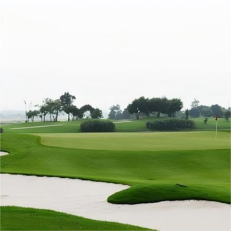 越南·潭岛高尔夫度假村 Tam Dao Golf & Resort | 河内高尔夫球场 | 越南高尔夫球场俱乐部 | 东南亚 商品图3
