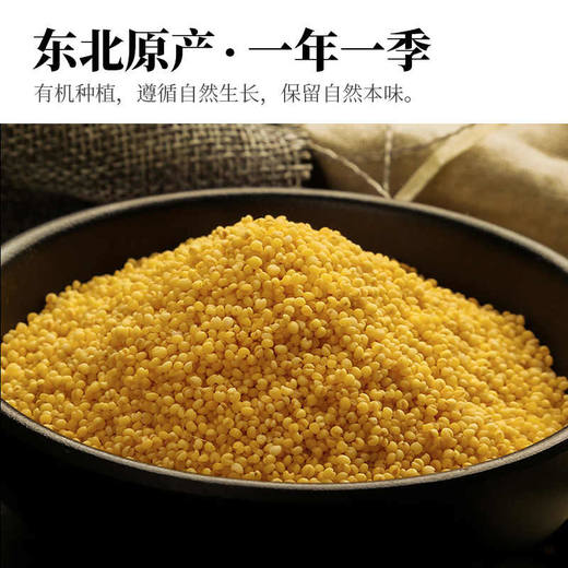 人民 旋口袋有机小米1.25kg 商品图0