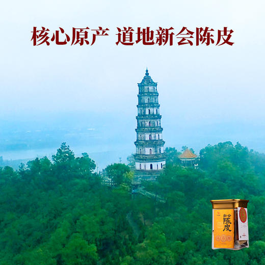 八马茶业｜新会陈皮·5年陈50克单罐装开盖即享，居家办公常备 商品图2