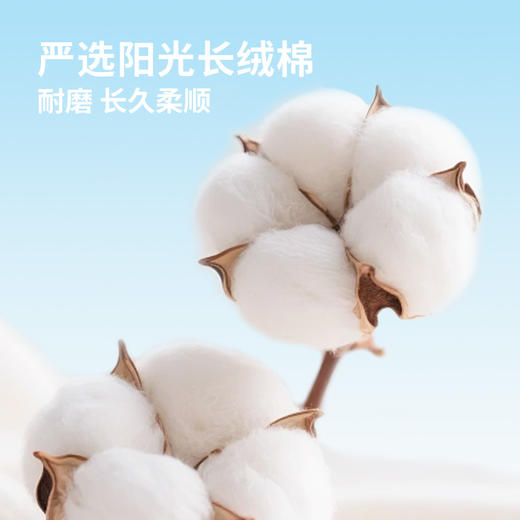 恒源祥  10A抗菌全棉四季袜男款3双装  HYX057WZ 商品图3