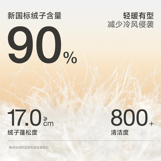 CHINISM赤尘 工装短款羽绒服男冬季新款美式加厚保暖男士立领外套 商品图3