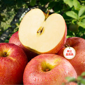 贵州威宁高原丑苹果/箱【GY】