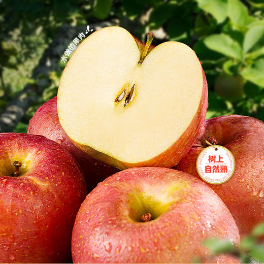 贵州威宁高原丑苹果/箱【GY】 商品图0