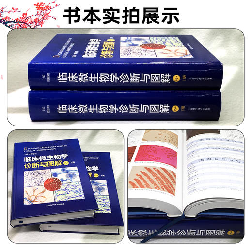 (全2册)临床微生物学诊断与图解（第5五版 上下册）周庭银 主编 临床微生物诊断参考书籍微生物学9787547871850上海科学技术出版社 商品图2