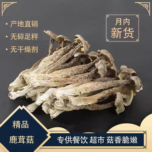 苏陕鹿茸菇100g 商品图1
