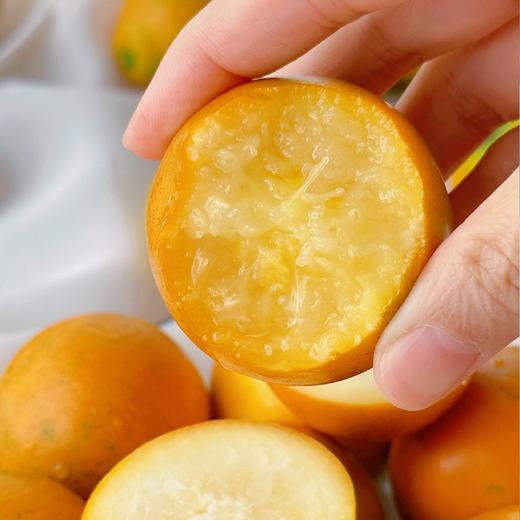 广西 融安 脆蜜金柑 商品图3