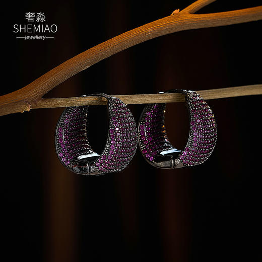 C-190欧美跨境个性几何圆圈耳环重工奢华小众设计感耳扣轻奢高级感耳饰 商品图0